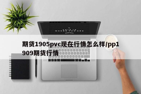 期货1905pvc现在行情怎么样/pp1909期货行情